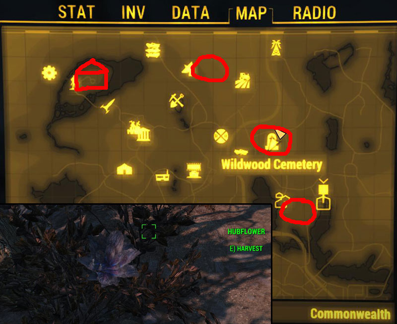 You can never have enough.