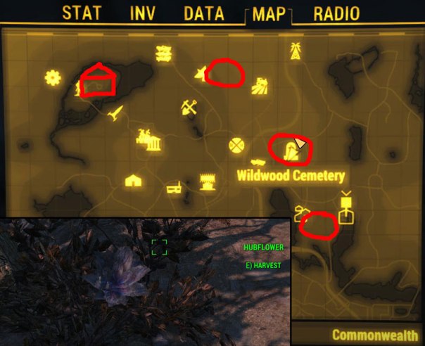 You can never have enough.