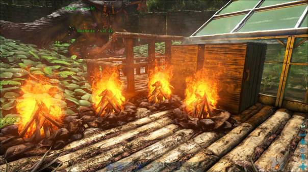 Ark_Campfires