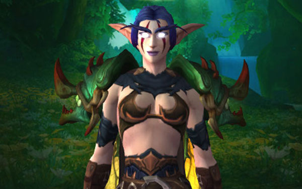 WoWScrnShot_Devotion